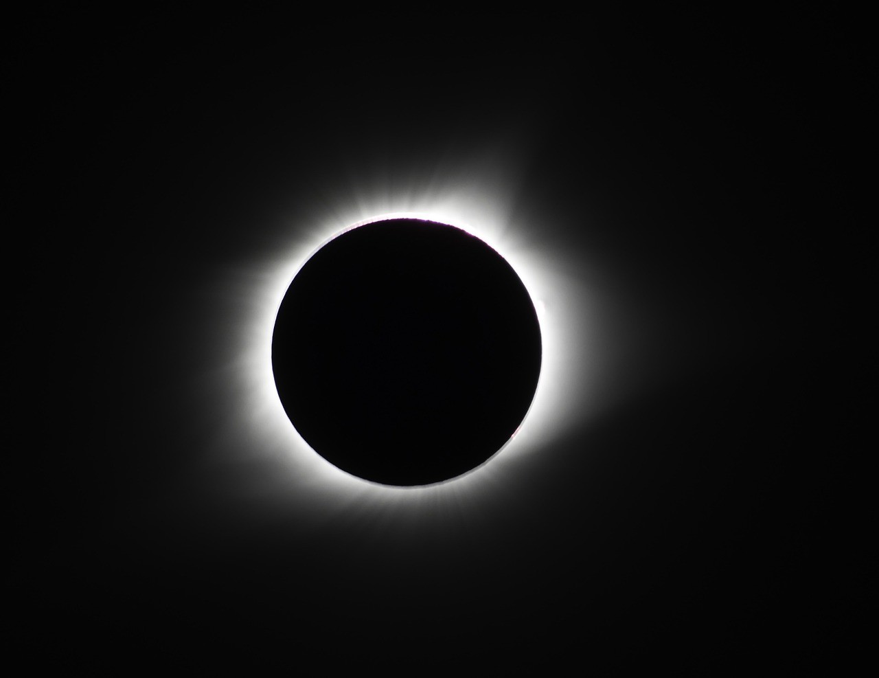 Witness Nature's Grand Spectacle: The Total Solar Eclipse of April 8 ...